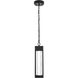Amaris 1 Light 4 inch Black Outdoor Pendant