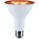 Starfish LED PAR30 E26 12.50 watt 2700K-5000K LED Bulb