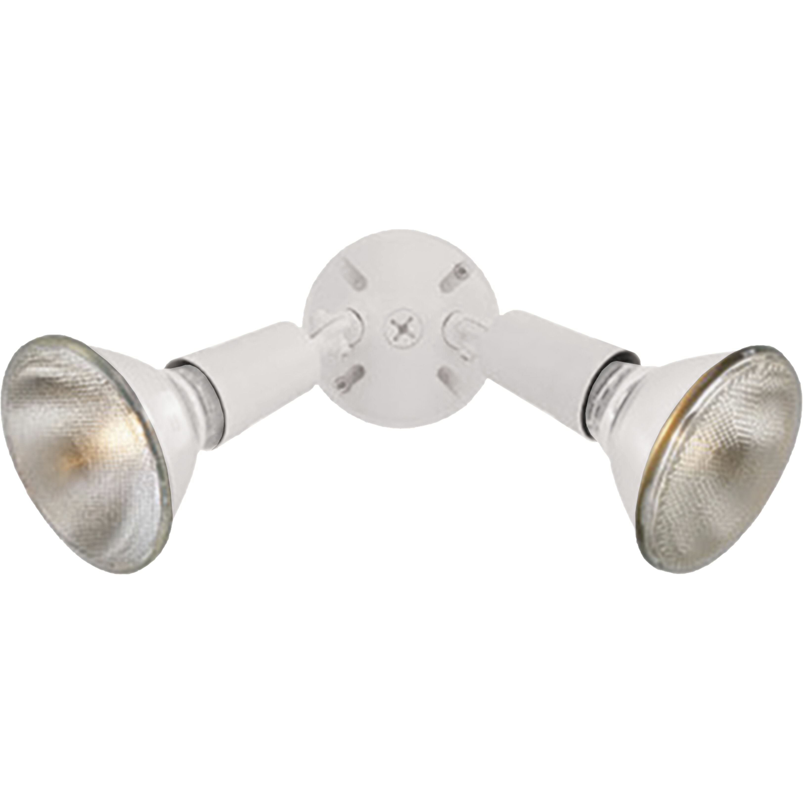Daley 2 Light 6 inch White Outdoor Sconce
