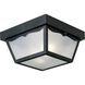 Ceiling Mount 2 Light 10.25 inch Textured Black Outdoor Flush Mount