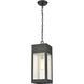 Angus 1 Light 7 inch Charcoal with Clear Outdoor Pendant