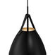 Tanner LED 10.75 inch Matte Black Pendant Ceiling Light