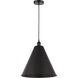 Edison Cone 1 Light 16 inch Matte Black Mini Pendant Ceiling Light