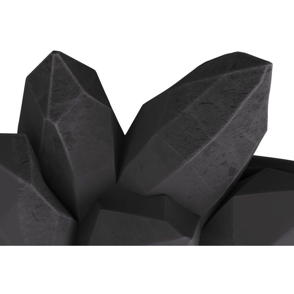 Xalapa Charcoal Sculpture