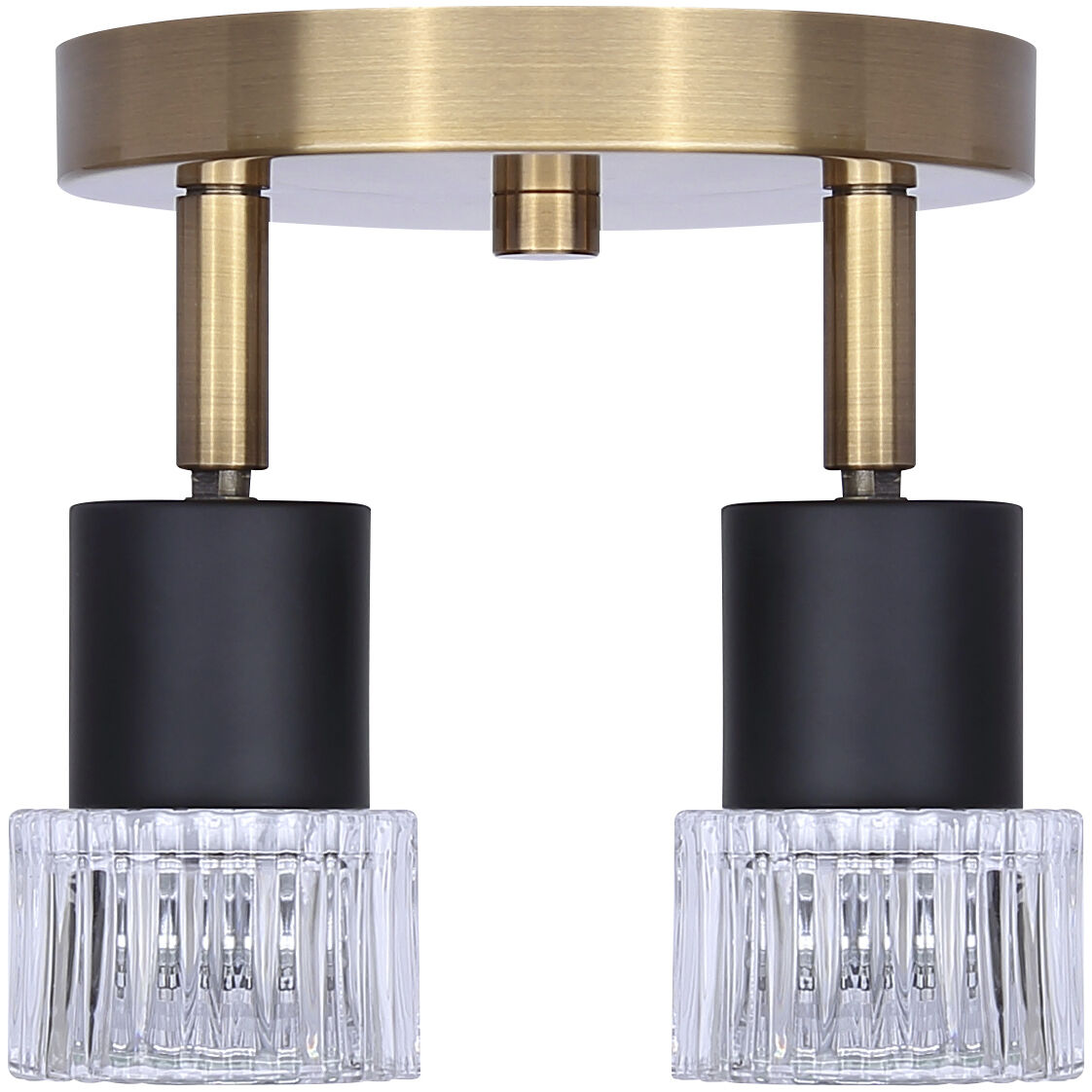 Elsee 2 Light Black/Gold Track Lighting Ceiling Light