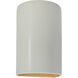 Ambiance Collection LED 12.5 inch Matte White/Champagne Gold Outdoor Wall Sconce