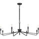 Salem 8 Light 40 inch Forged Iron Chandelier Ceiling Light