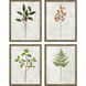 Botanical Green and Rust Framed Art