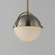 Duke 1 Light 9.5 inch Satin Nickel and Satin Brass Single Pendant Ceiling Light