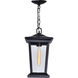 Leawood 1 Light 8 inch Black Outdoor Hanging Light