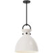 Alora Mood Waldo 1 Light 14.00 inch Pendant