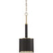 Quinn 1 Light 9.13 inch Satin Brass Mini Pendant Ceiling Light