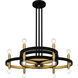 Winsland 12 Light 30 inch Matte Black Chandelier Ceiling Light