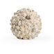 Claire Bell Natural Decorative Object