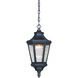 Hanford Pointe LED 9 inch Oil Rubbed Bronze Outdoor Chain Hung Lantern, Great Outdoors