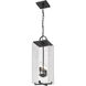 Sana 3 Light 8 inch Black Outdoor Chain Mount Ceiling Fixture in Seedy Glass