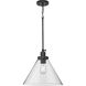 Hinton 1 Light 16 inch Matte Black Pendant Ceiling Light