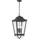 Savannah 4 Light 12 inch Sand Coal Outdoor Chain Hung, The Great Outdoors