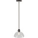 Della 1 Light 9 inch Black and Brushed Nickel Mini Pendant Ceiling Light