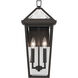Regence 2 Light 19.25 inch Olde Bronze Outdoor Wall, Medium