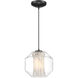 I-Biza LED 9.5 inch Black Pendant Ceiling Light