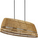 Barbary 3 Light 52.75 inch Black Outdoor Chandelier