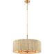 Abaca 5 Light 24 inch Satin Brass Chandelier Ceiling Light