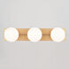Parkview LED 24 inch Satin Brass Bathroom Light Wall Light