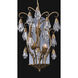 Tulipani Wall Sconce Wall Light in Winter Brass