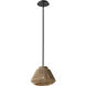Eco LED 11.5 inch Matte Black Pendant Ceiling Light in Natural