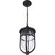 Voyage 1 Light 10 inch Midnight Outdoor Pendant