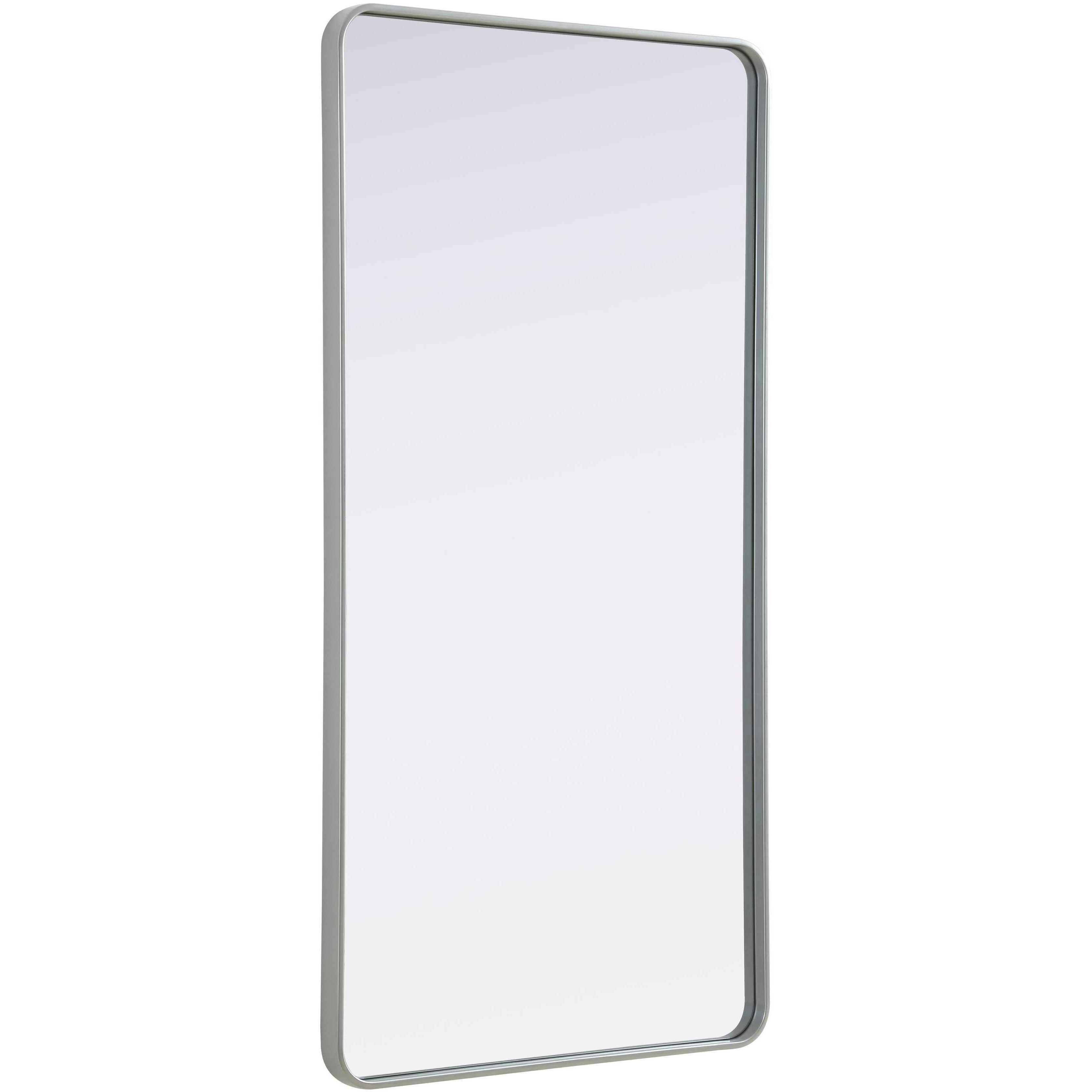 Remy 60 X 30 inch Silver Mirror