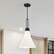 Evergreen Oasis LED 12 inch Matte Black Down Pendant Ceiling Light