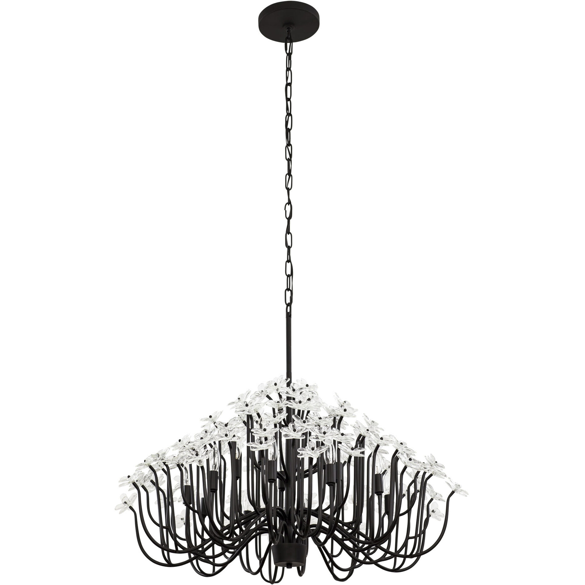 Wildflower 15 Light 40 inch Matte Black Chandelier Ceiling Light, Smithsonian Collaboration