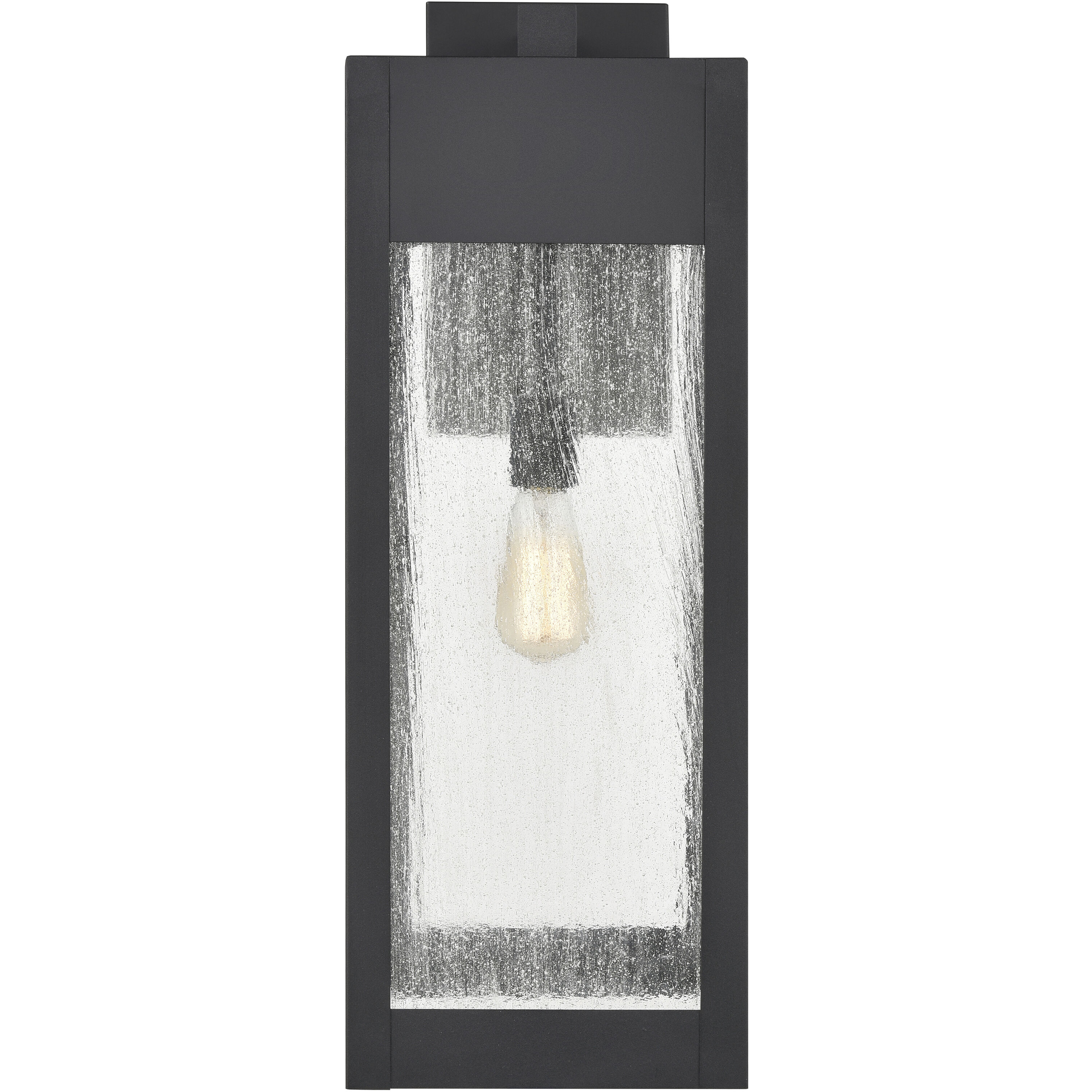 Angus 1 Light 26.25 inch Charcoal with Clear Outdoor Wall Sconce