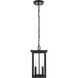Venango 2 Light 7 inch Black Outdoor Pendant