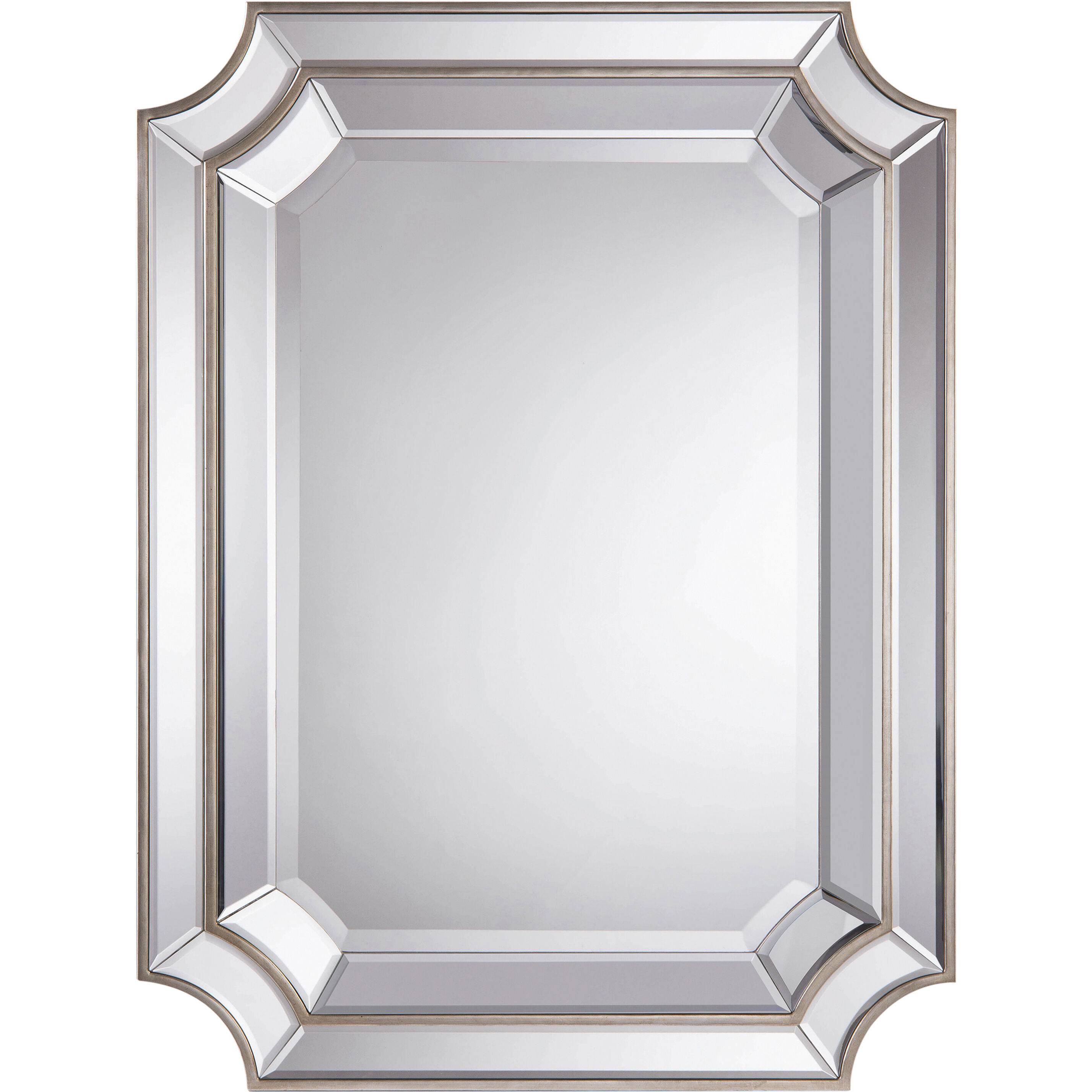 Stella 48 X 36 inch Silver Wall Mirror