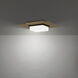 Double Decker LED 14 inch Black Aged Brass Flush Mount Ceiling Light in 3000K, dweLED