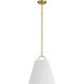 Scandinavian 1 Light 15 inch Natural Brass Pendant Ceiling Light
