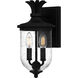 Havana 2 Light 6.5 inch Earth Black Outdoor Lantern, Small