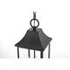 Shepard 3 Light 8 inch Black Outdoor Pendant