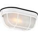 Nauticus Dual Mount 1 Light 4 inch White Outdoor Wall Sconce