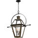 Rue De Royal 4 Light 28 inch Industrial Bronze Outdoor Hanging Lantern