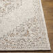 Symphony 36 X 24 inch Light Gray Rug in 2 x 3, Rectangle