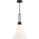 Evergreen Oasis LED 12 inch Matte Black Down Pendant Ceiling Light