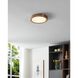Argyle LED 12 inch Champagne Gold Flush Mount Ceiling Light