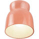 Radiance Collection 1 Light 7.5 inch Gloss Blush Outdoor Flush Mount