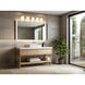 Nextra 5 Light 42 inch Modern Gold Bath Vanity Wall Light