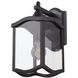 Lakewood Outdoor Wall Sconce Wall Light in Aged Iron