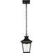 Jasper 8 inch Matte Black Outdoor Hanging Lantern